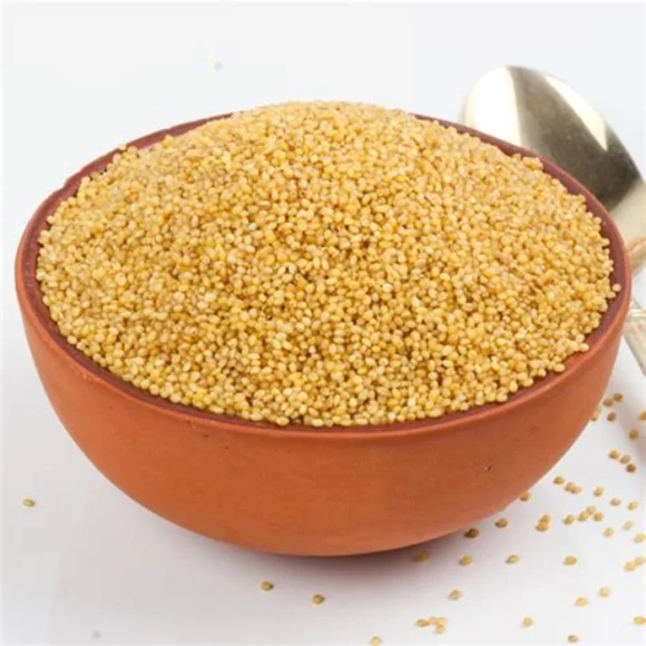 FOXTAIL MILLET (కొర్రలు)